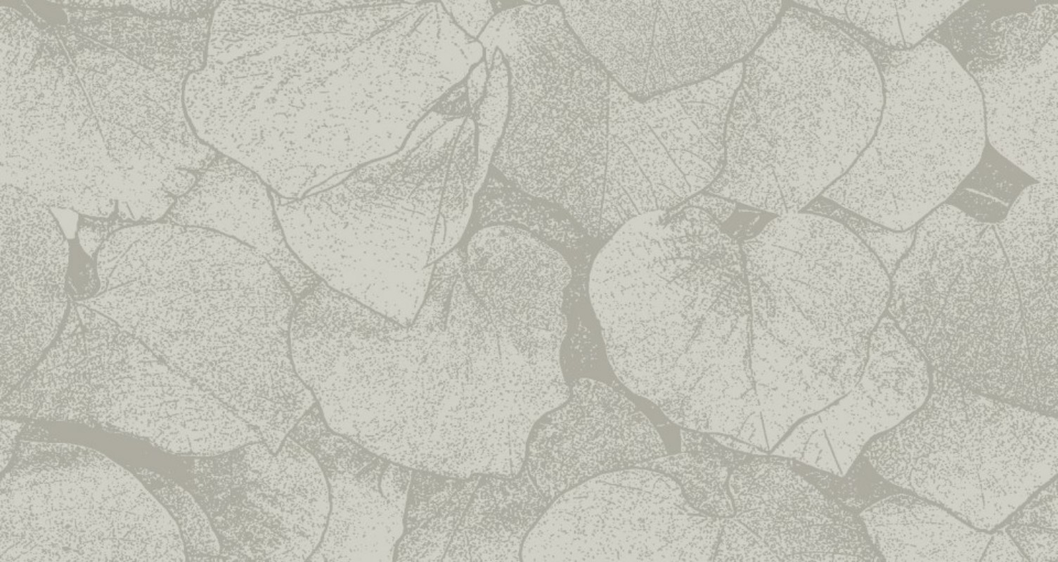 Hortensia - 272-03